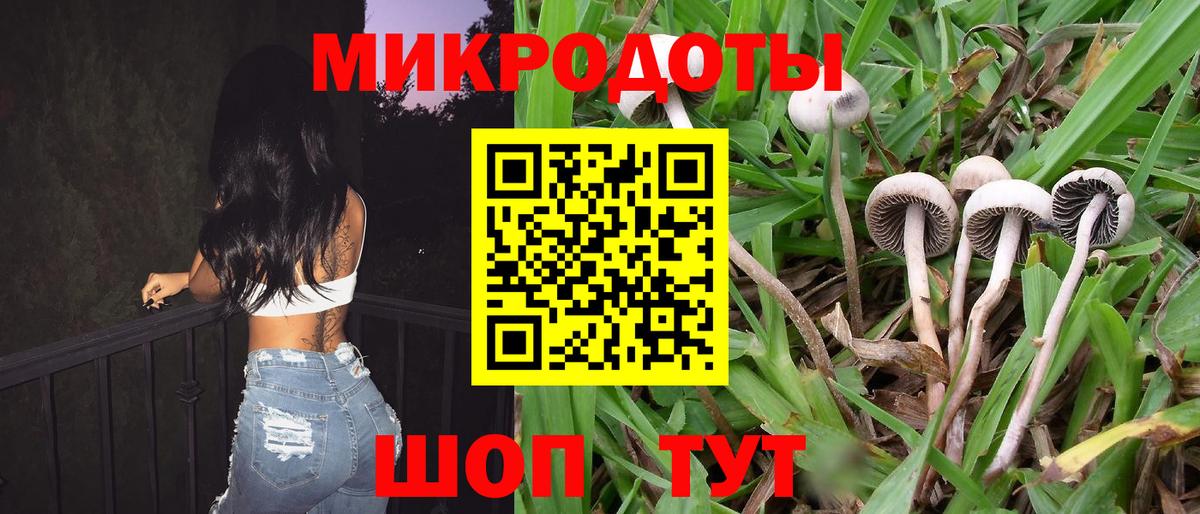 Псилоцибиновые грибы мицелий Коряжма