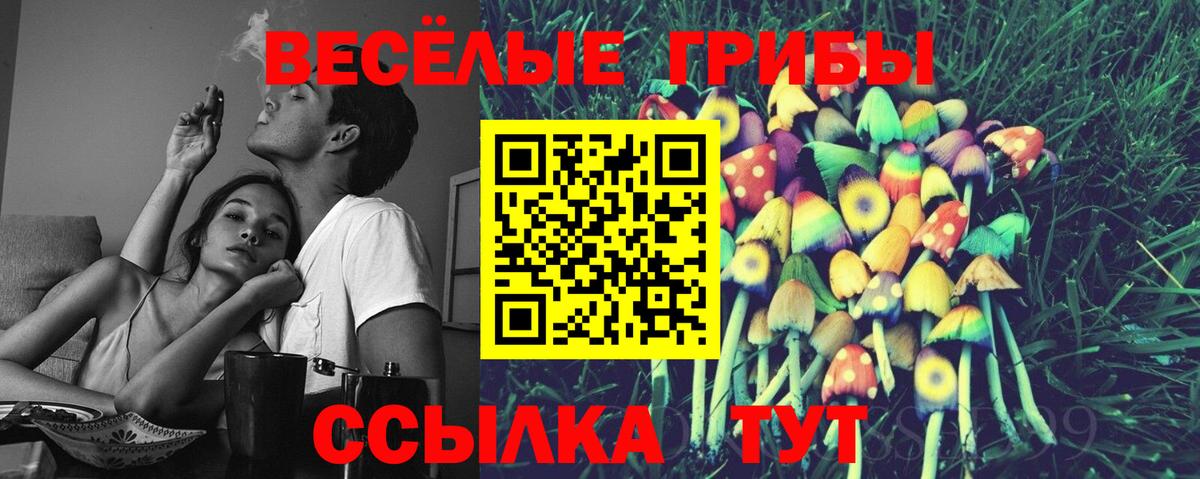 Гашиш  МДМА  APVP СК кристаллы  Коряжма  МЕФ кристаллы  Каннабис  Вход с VPN  Кокаин 