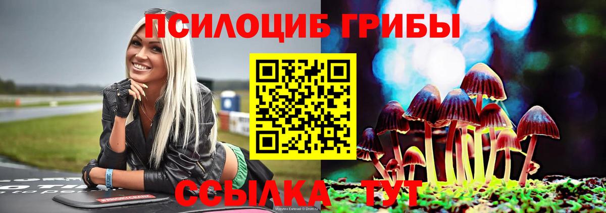 Коряжма  Псилоцибиновые грибы Cubensis  как найти закладки  Вход с VPN 