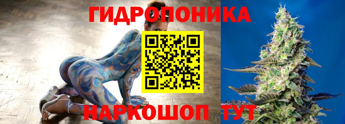 Коряжма  Шишки марихуана планчик  Вход с VPN  Шишки марихуана тримм  МАРИХУАНА ГИДРОПОН 